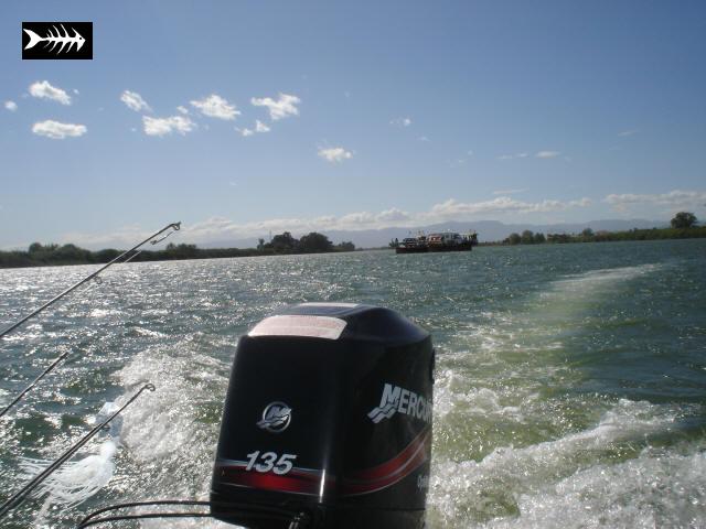 delta 1 2007.jpg